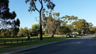 Luxury Cosy apt, close to airport, opposite park - Perth - 2