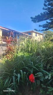 I B B Guesthouse - 9
