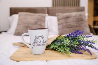 Vila Lena Vrdnik Apartman 1 - Vrdnik - 5