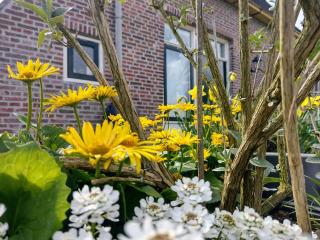 Grytmanshoeve, Vakantiehuis met glamping - Niawier - 9