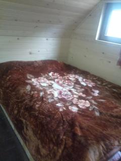 Wooden house in Adishi - Itʼkhvisi - 4