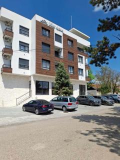 Vila Lena Apartman broj 2 - Vrdnik - 1