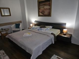Bluestars Home - Karlovy Vary - 0
