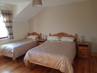 Macreddin Rock Bed & Breakfast - Aughrim - 9