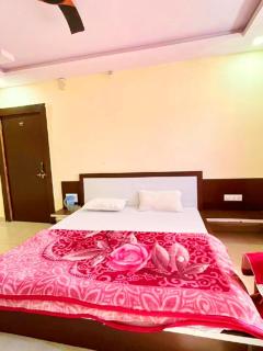 Maharaja guest Homestay - Pachmarhī - 9