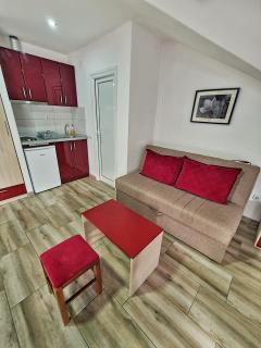 Vila Aleksandra 2 Studio 15 - Soko Banja - 7