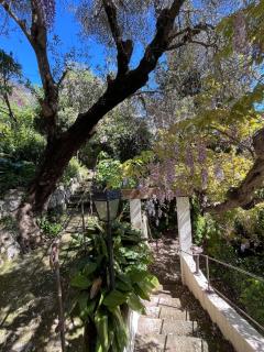 Seaside Jungle Retreat - Nice - 1