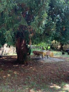 Residence with pool and tennis - Saint Sozy - 1