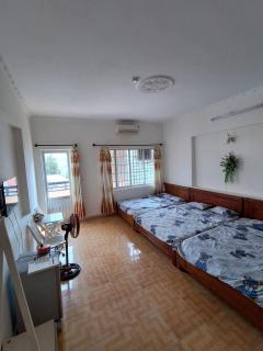 Nhím biển - Vung Tau - 4