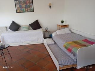 Rez-de-villa Mougins - Mougins - 8