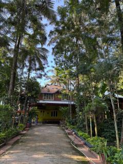 Coorg Vistara - Kushālnagar - 6