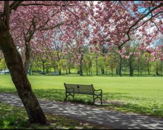 Stylish 2BR Apt in QuarterMile Meadows Park Views - Edinburgh - 3