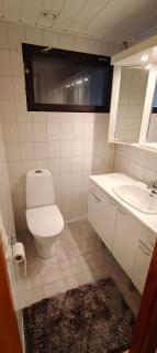 Cozy home with private sauna in Rovaniemi - - 3
