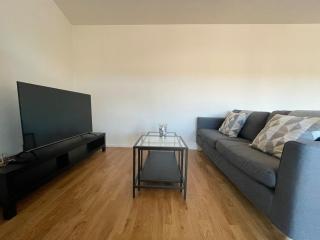 Modern apartment near Basel city and airport - 9