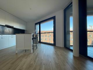Modern apartment near Basel city and airport - 7