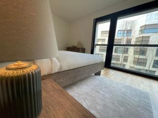 Modern apartment near Basel city and airport - 5