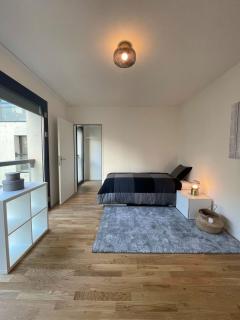 Modern apartment near Basel city and airport - 3