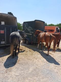 Apartment Fila i Jure - 7