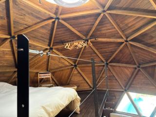 Pink Elephant - Lorca - 3