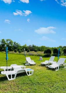 Quirky Park - Pool, hot tub, cold plunge, sauna and exclusive party room - 8