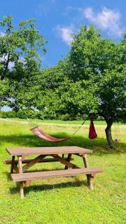 Quirky Park - Pool, hot tub, cold plunge, sauna and exclusive party room - Siófok - 5