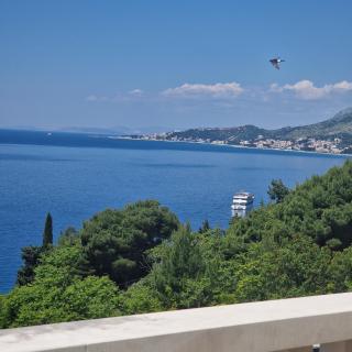 MBA 1 Beach Apartment - 7