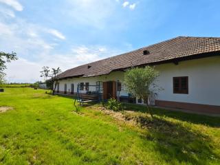 Ubytovací domček u Podhajské - Levice - 9