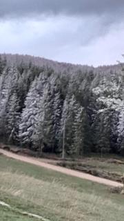Cabana Diana Dealul Frumos - Hănăşeşti - 1