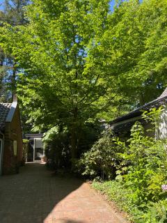 de Merel - Vught - 6