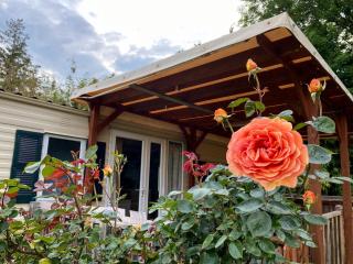 Camping les Avenières - Manthes - 3