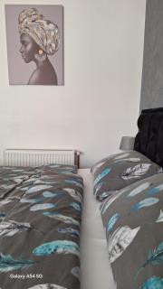 Stan na dan DUNJA 2 - 5