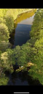 Domek Wśród Wód - Płęsno - 3