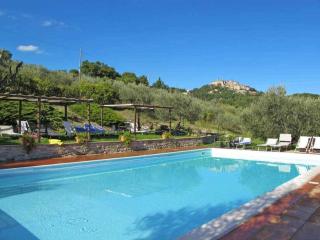 Farmhouse with stables, horses and the ability to make horseback riding - Monte Santa Maria Tiberina - 4