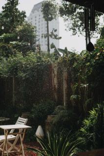 North House - Ấp Bình Trung - 3