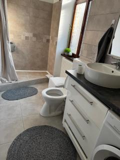 Dominic Apartment - Sibiu - 3