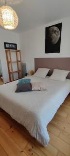 les Lys Jolie suite parentale privative deux adultes avec sdd - Pertheville-Ners - 7