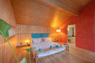 Grand Chalet d'Architecte - 2