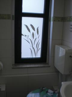Kleine Sonnenblume - Ueckermünde - 3