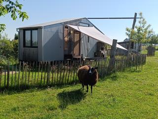 Tiny house less is more - Herk-de-Stad - 5