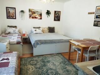 ECO-LUX APART with free bicycles end free parking - Lubiana - 8