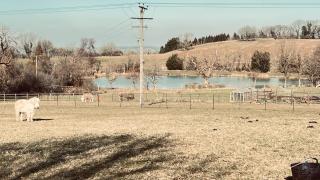 Lake House - beautiful countryside retreat - 8
