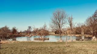 Lake House - beautiful countryside retreat - Clutton - 6