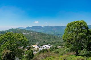 Bearwood Castle Resort - Kotagiri - Kotagiri - 5