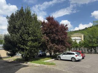 BE ME Hotel Helvetia - Tabiano - 4