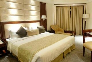 Hotel Star vel - Nuova Delhi - 2