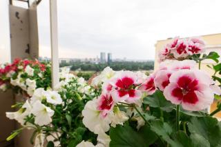 Ugi house - City Center - Belgrado - 8