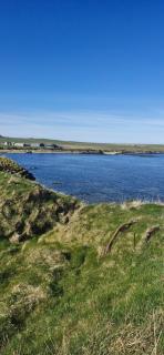 Orkney,Shapinsay - 4