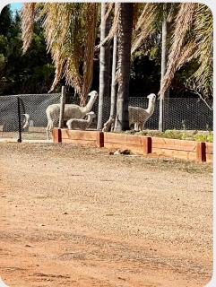 Farm house - Monash - 5