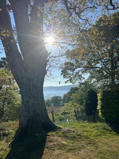 Llanerch - Bala - 5