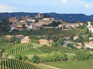 I Quattro Grappoli - Neive - 9